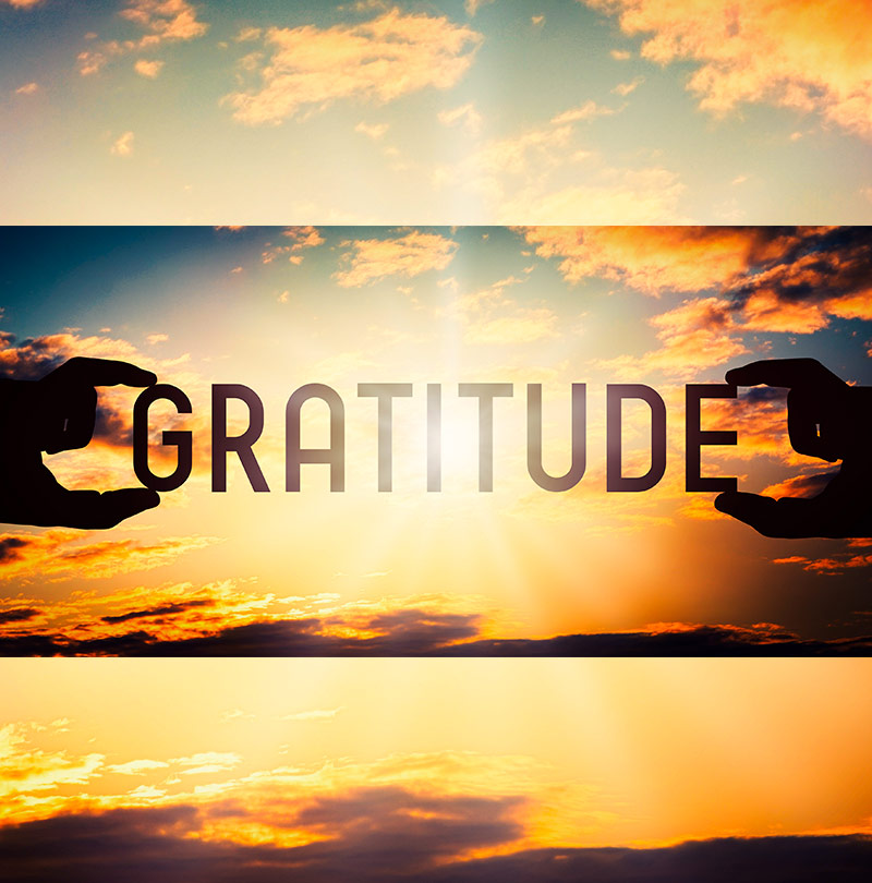 DLSA Gratitude - DanceSport Academy Dubai
